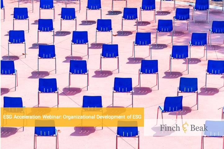 ESG Acceleration Webinar: Organizational Development of ESG